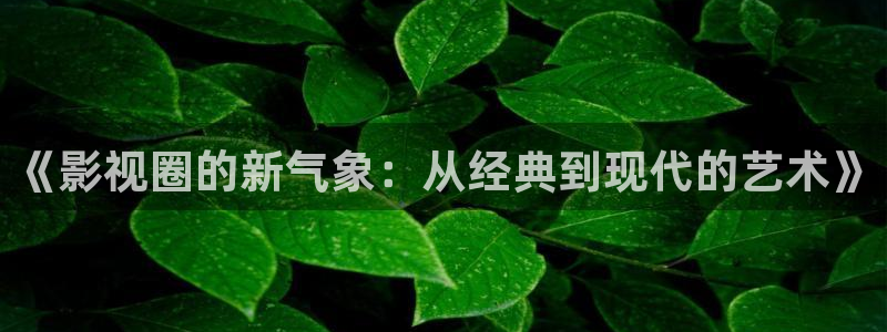 汤姆私人影院最新入口